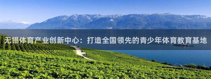 yy易游官网下载平台假的吗是真的吗：无锡体育产业创新