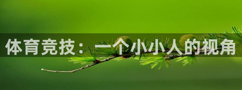 yy易游官网下载平台注册要钱吗是真的吗：体育竞技：一