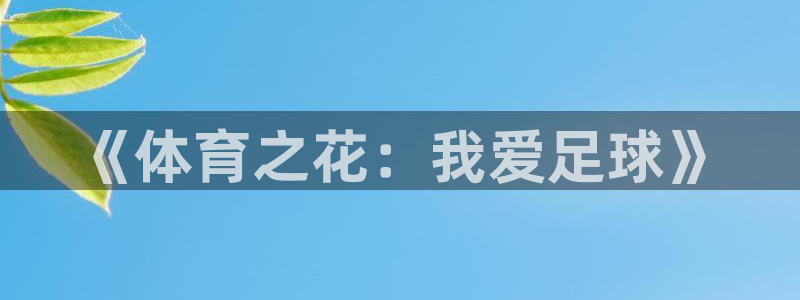 yy易游官方正版app娱乐是那个系列的台子：《体育之