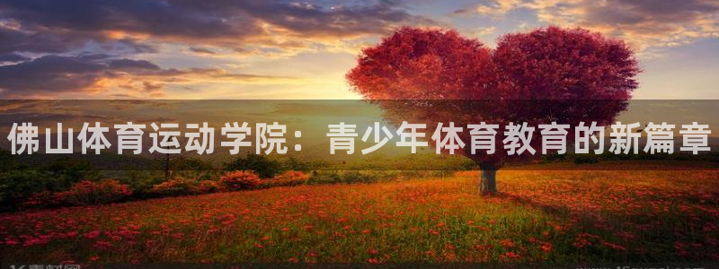 yy易游官网下载招商电话地址：佛山体育运动学院：青少