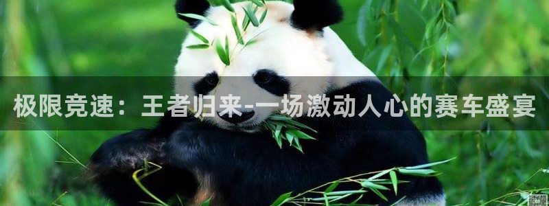 yy易游官方正版app娱乐首页官网下载：极限竞速：王