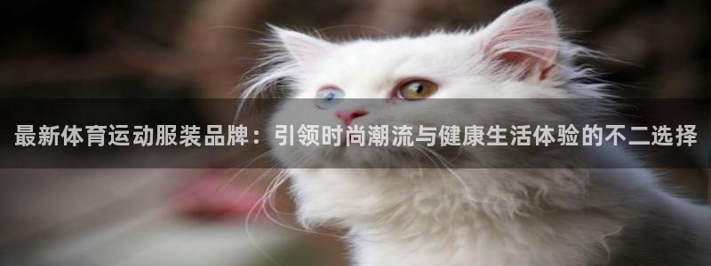 yy易游官方正版app开户：最新体育运动服装品牌：引领时尚潮