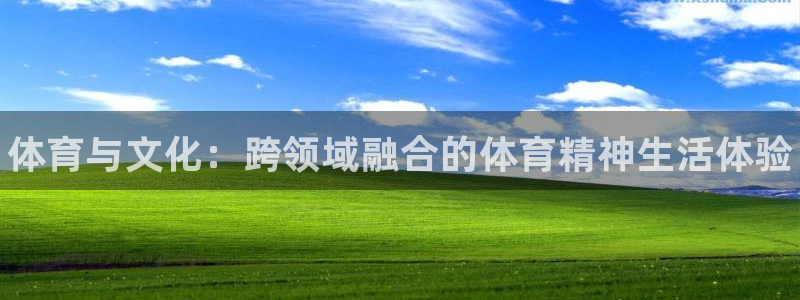 yy易游官网下载官方客服电话：体育与文化：跨领域融合的体育精