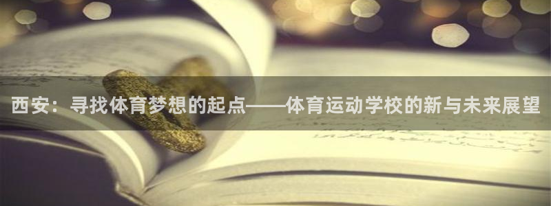yy易游官方正版app新能源：西安：寻找体育梦想的起