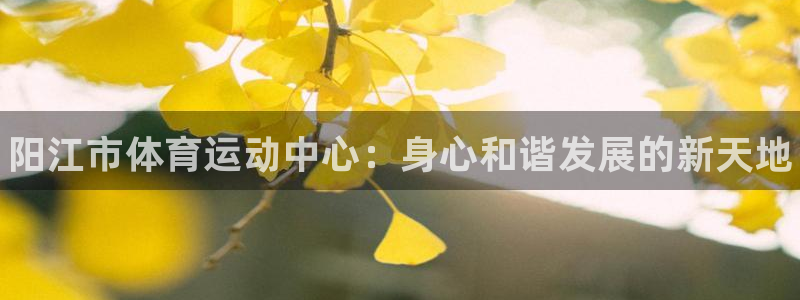 yy易游官网下载平台注册流程视频：阳江市体育运动中心