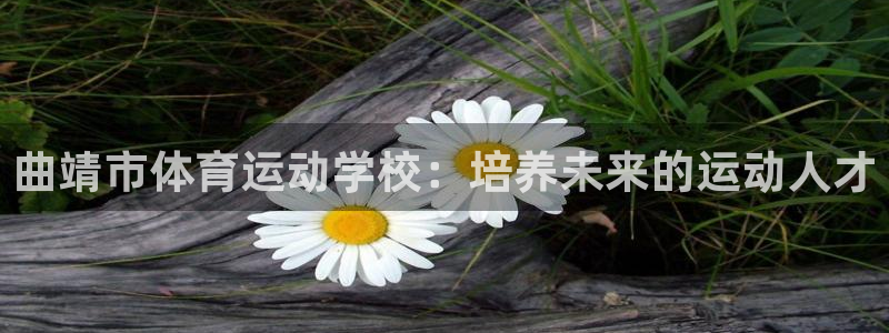 yy易游官方正版app集团官网首页网址：曲靖市体育运