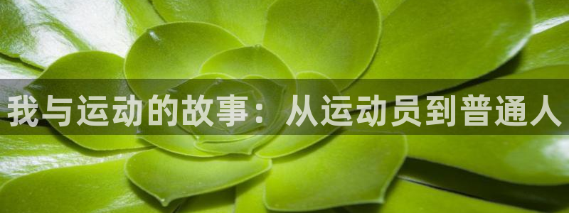 yy易游官网下载平台是正规平台吗：我与运动的故事：从
