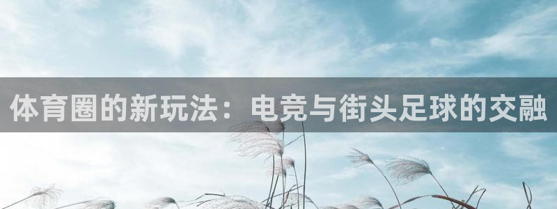 yy易游官方正版app娱乐平台：体育圈的新玩法：电竞