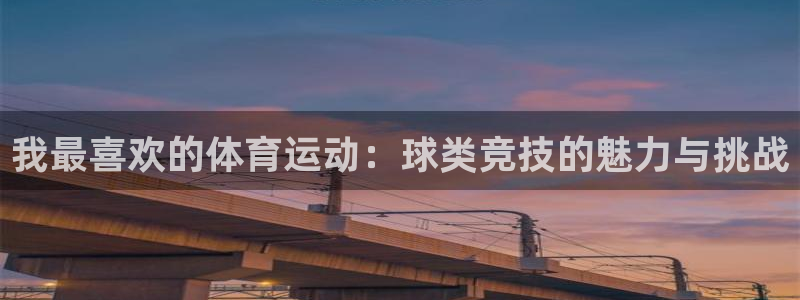 yy易游官网下载平台注册要钱吗安全吗：我最喜欢的体育运动：球
