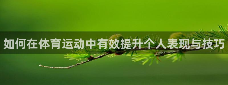 海南yy易游官网下载：如何在体育运动中有效提升个人表现与技巧