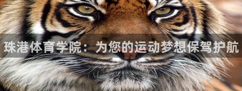 yy易游官网下载招商电话号码是多少