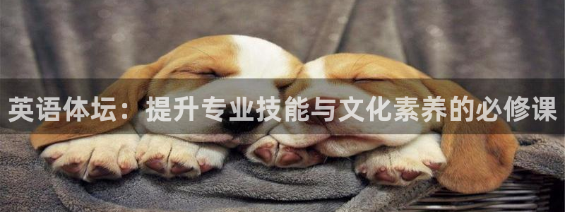 yy易游官网下载平台注册要钱吗安全吗：英语体坛：提升专业技能