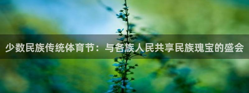 yy易游官网下载招商电话是多少：少数民族传统体育节：