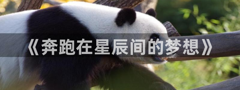 yy易游官方正版app集团官网网址