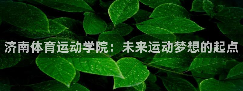 yy易游官网下载招商电话是多少啊：济南体育运动学院：未来运动