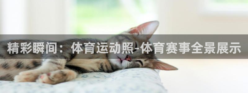 yy易游官网下载平台注册要钱吗安全吗：精彩瞬间：体育运动照-