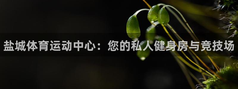 yy易游体育还能撑几年：盐城体育运动中心：您的私人健身房与竞