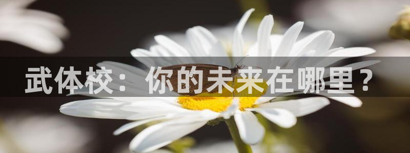 yy易游体育平台能提现吗：武体校：你的未来在哪里？
