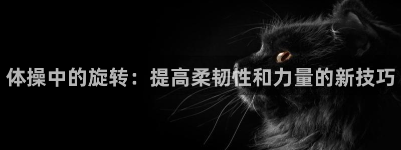 yy易游体育电竞登录不上去怎么办：体