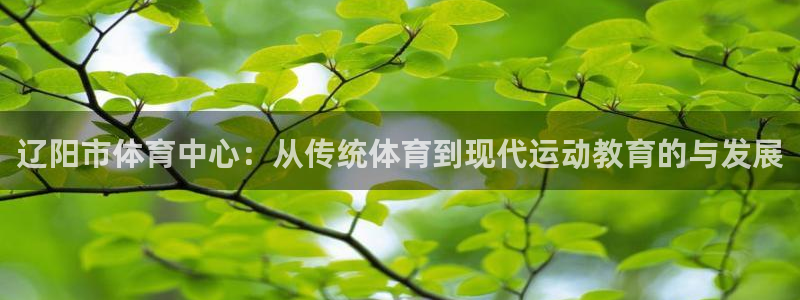 yy易游体育还能撑几年：辽阳市体育中