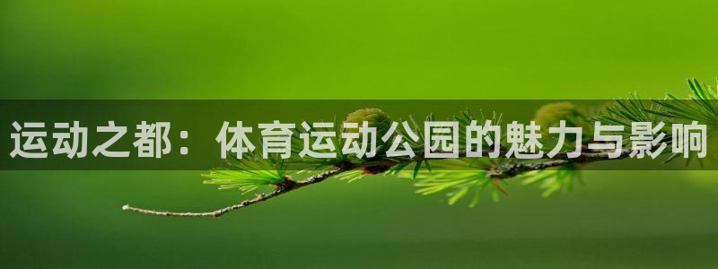  yy易游app最新版本更新内容分享：运动之都：体育运动公园的