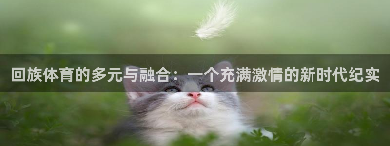 yy易游体育平台能提现吗：回族体育的多元与融合：一个充满激情