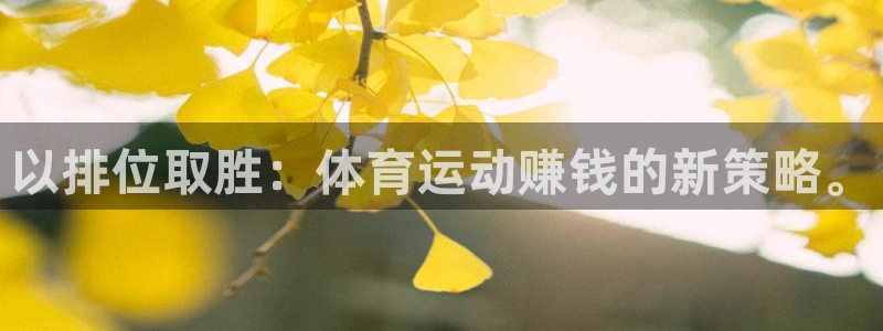 yy易游体育还能撑几年：以排位取胜：体育运动赚钱的新策略。