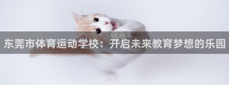 yy易游体育平台：东莞市体育运动学校