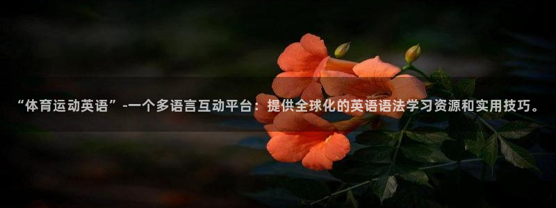 yy易游体育电竞怎么样：“体育运动英